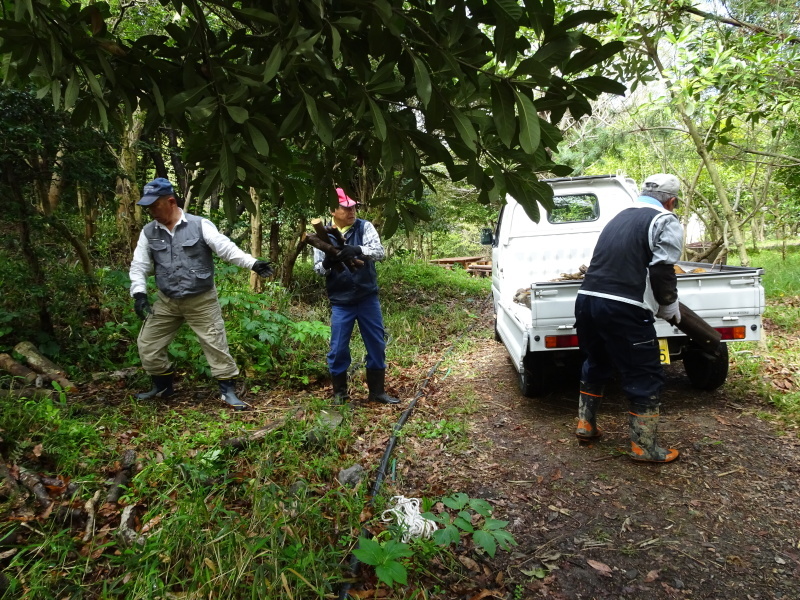 c0108460_20121542.jpg