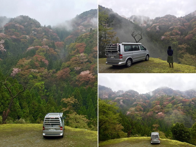 さくら　ひらひら　舞い落ちて（山桜ドライブ）_c0123363_100382.jpg