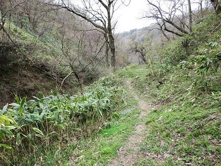 鉢伏山　　木ノ芽古道を行く_f0302771_532564.jpg