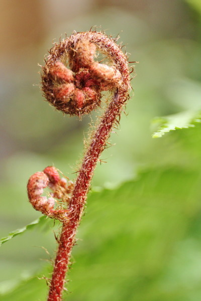 f0183274_23544700.jpg