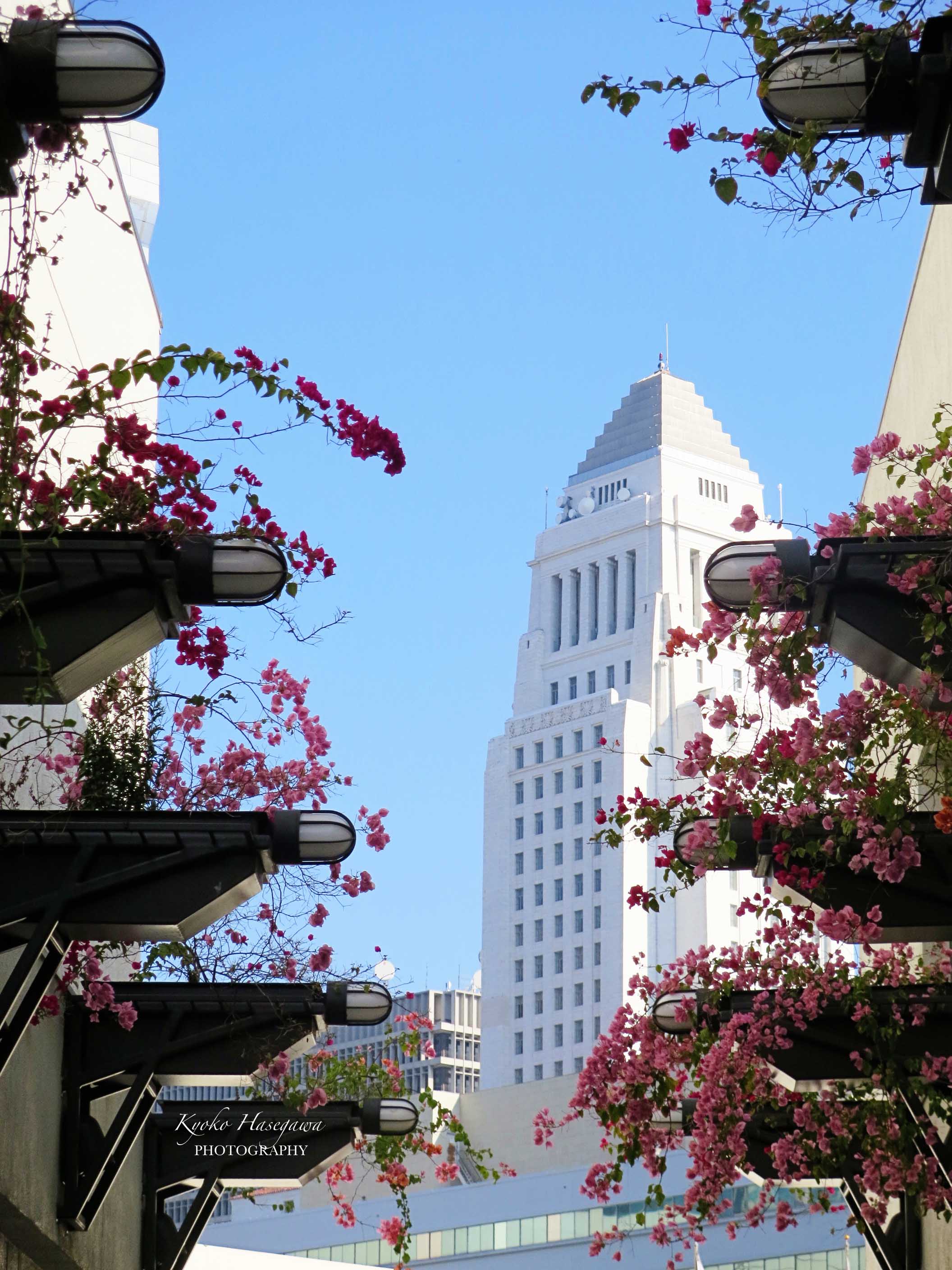 e0148185_54732.jpg