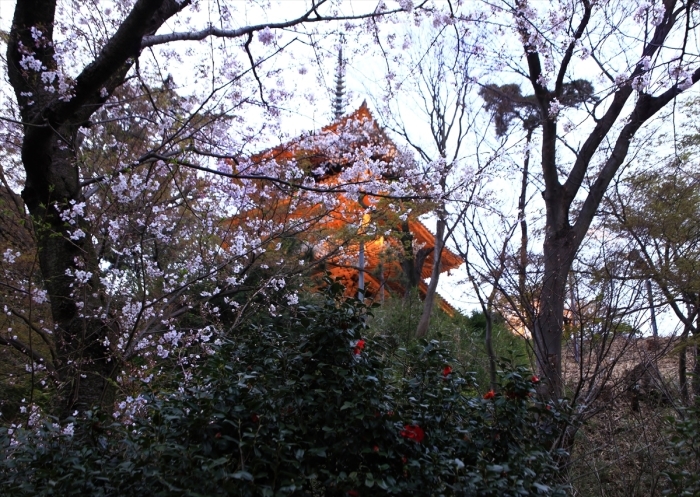 e0305388_09152971.jpg