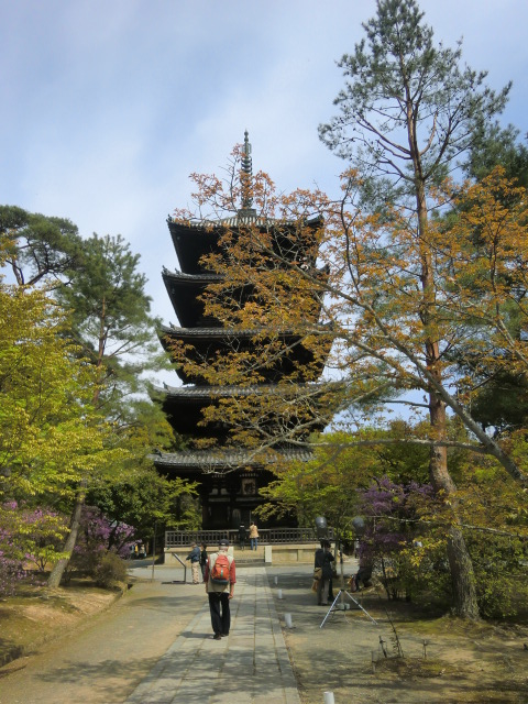 仁和寺の御室桜を見る_b0044296_2161177.jpg