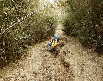 箱根の山の外輪山へ_e0077899_6523634.jpg