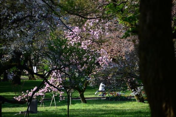 a0288500_8485697.jpg