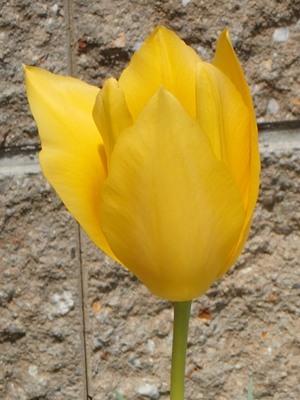 e0289203_21585016.jpg