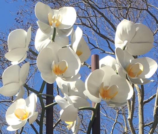 NYの街角に高さ10メートルの巨大な2本の蘭のアート登場中 Two Orchids by Isa Genzken_b0007805_1505718.jpg