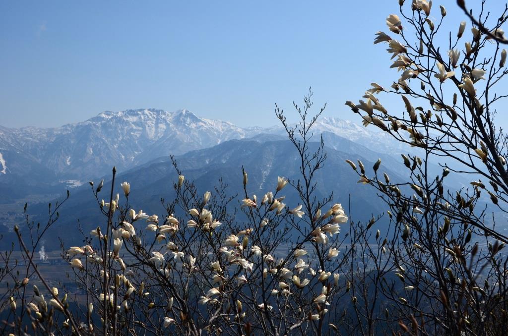 2016/4/12 坂戸山　六万騎山_a0340812_8474463.jpg