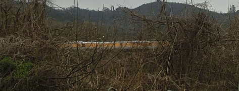 b0181818_15502957.jpg