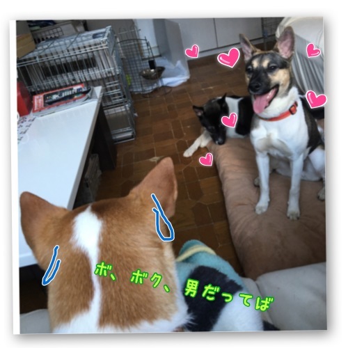 b0207320_11192594.jpeg