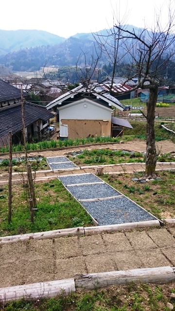 d0167621_2313886.jpg