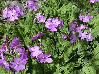 e0234924_09220155.jpg