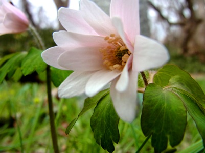 c0204725_11121417.jpg