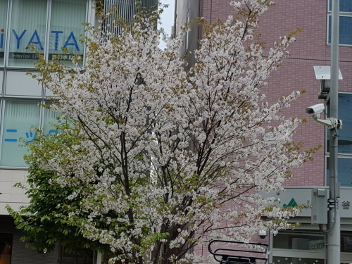 昔の駅弁の旨さ 脳で味わうもの_e0016828_11170471.jpg