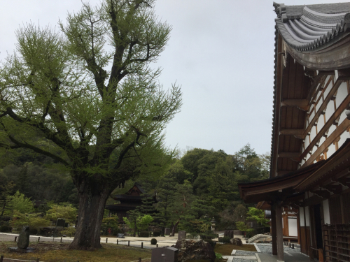 御朱印の旅1(永保寺と熱田さん)_b0312230_06284295.jpg