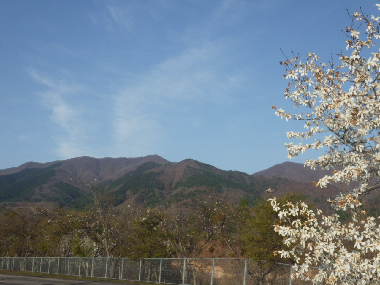 春の福田頭を眺めて散歩です。_c0300035_1255518.jpg