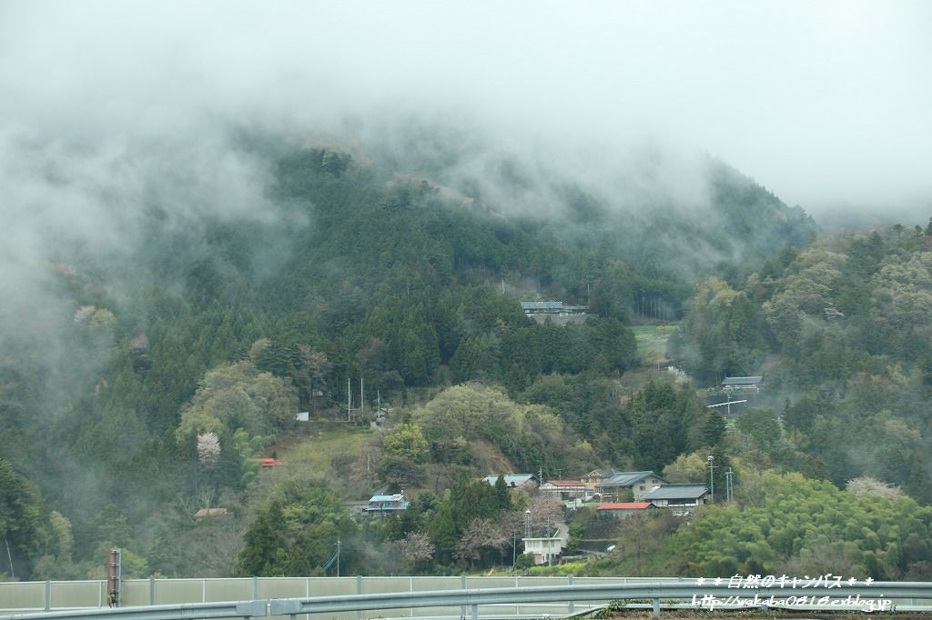 e0052135_2351186.jpg