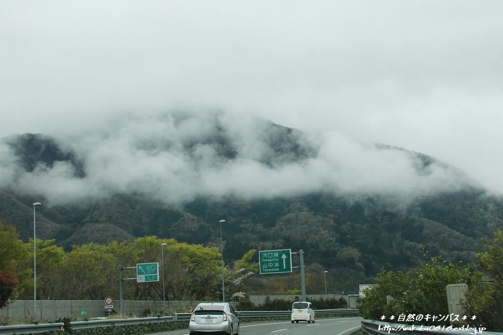 e0052135_2352818.jpg