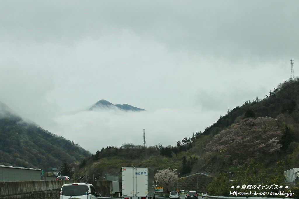 e0052135_2354962.jpg