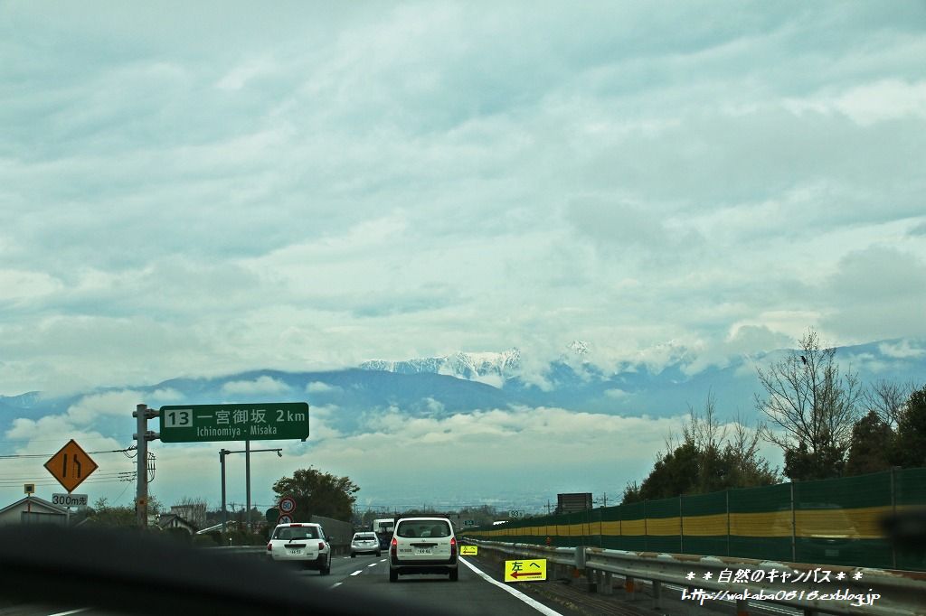 e0052135_2361027.jpg
