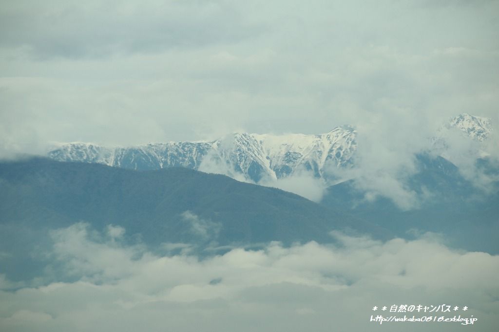 e0052135_2385077.jpg