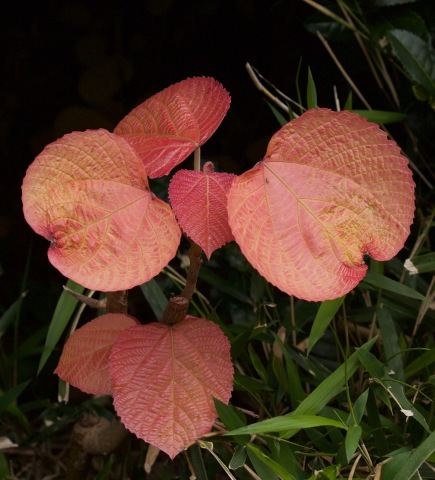 a0248459_16055950.jpg