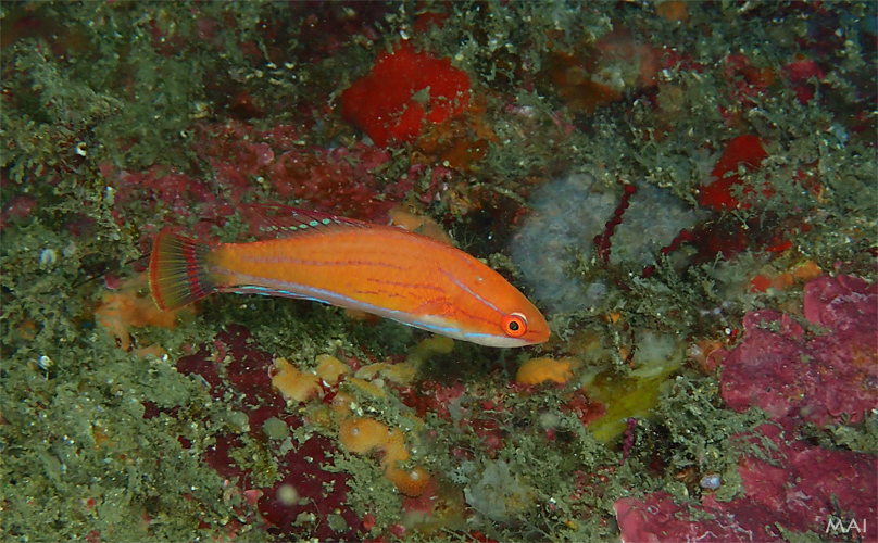 e0158261_916418.jpg