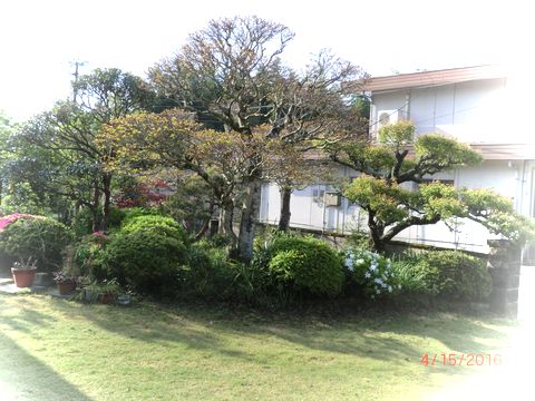 d0321567_8453490.jpg