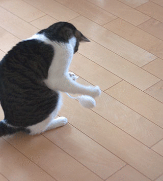 a0119470_19143876.gif