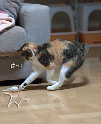 a0119470_1915887.jpg
