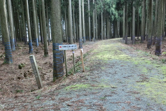 b0185573_101267.jpg