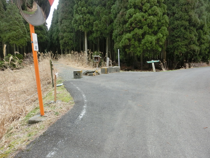 No438滋賀・イワウチワ街道の大御影山を歩く_b0185573_1064857.jpg