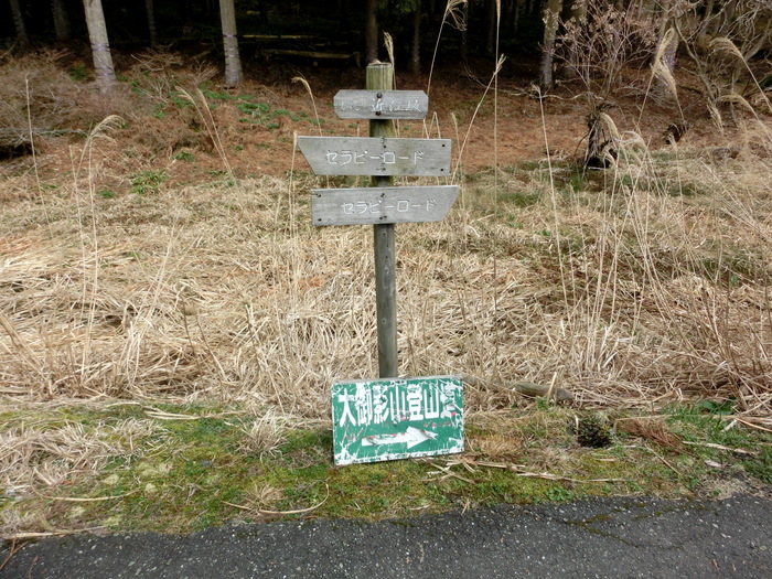 No438滋賀・イワウチワ街道の大御影山を歩く_b0185573_1092534.jpg