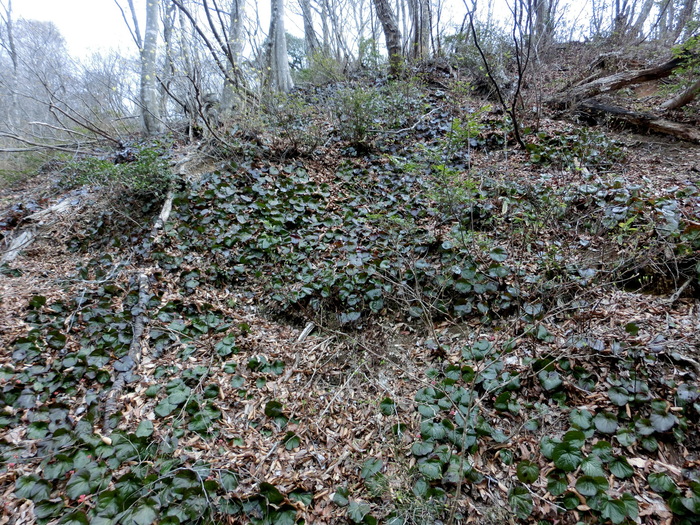 b0185573_1443268.jpg