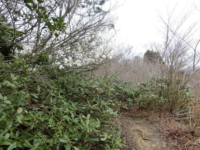 b0185573_20254593.jpg