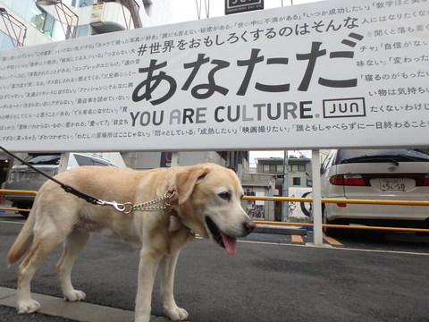 f0052277_3374382.jpg