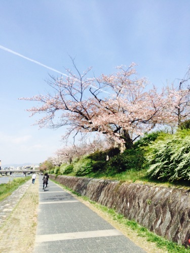 d0348182_12383006.jpeg