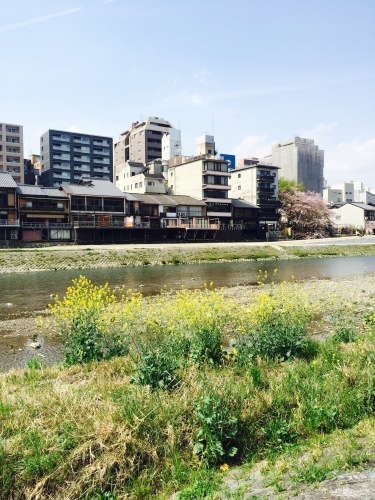 d0348182_12390158.jpeg