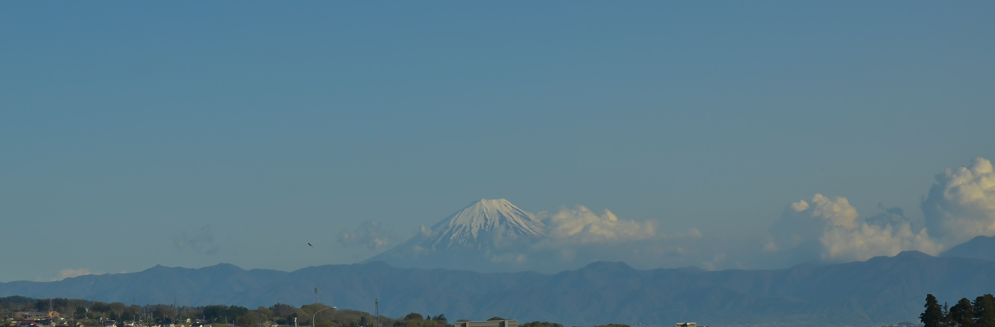 b0078795_20442370.jpg