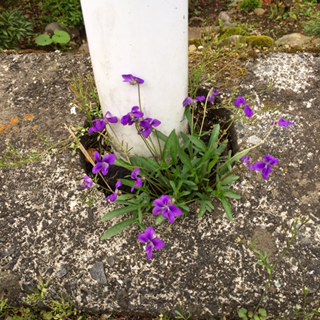 e0025596_14271414.jpg