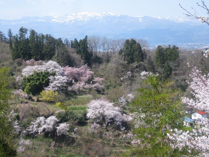 e0147297_1623012.jpg