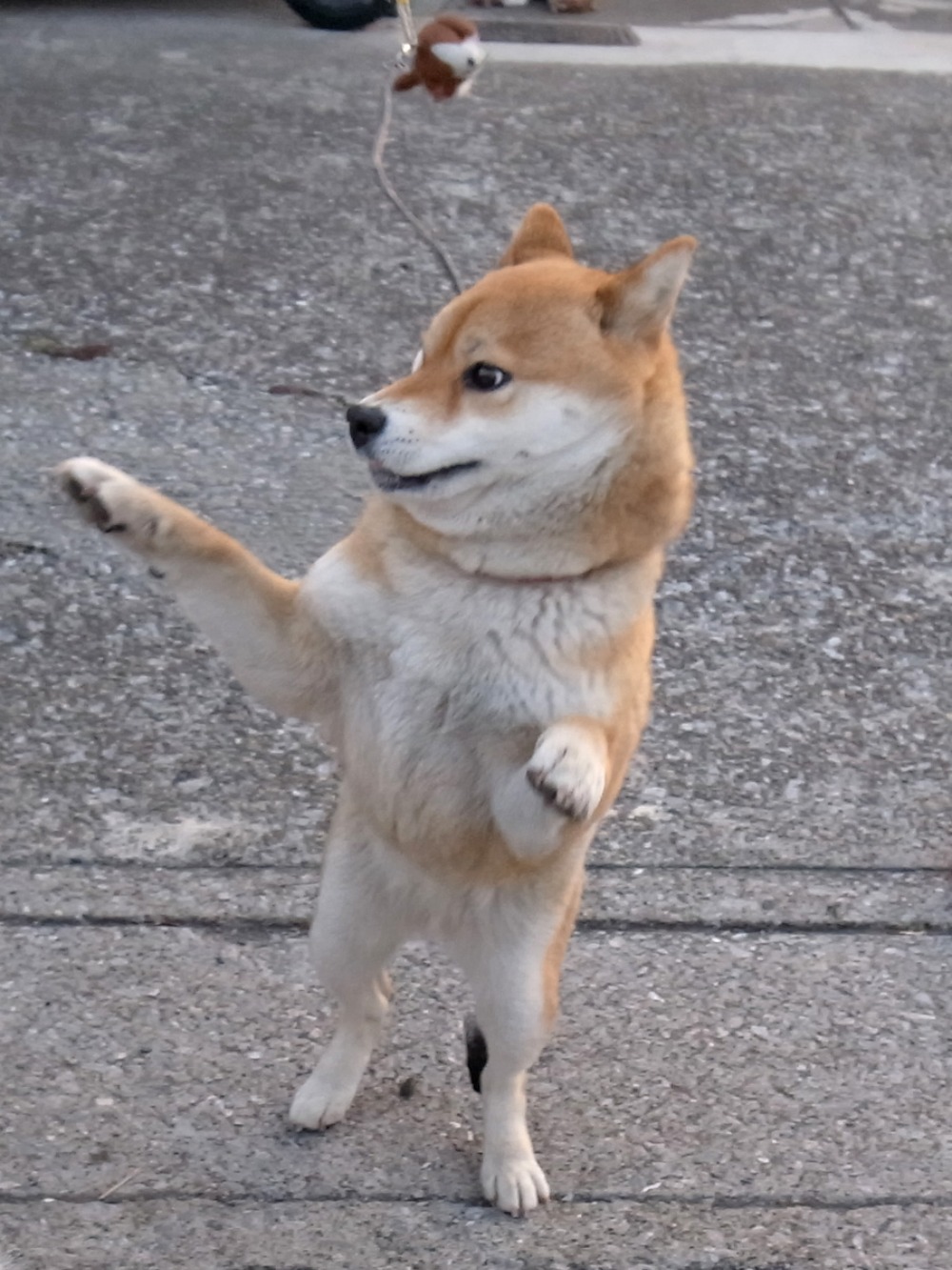 ちなちゃんと遊ぼう! (^o^)_c0049299_2230526.jpg