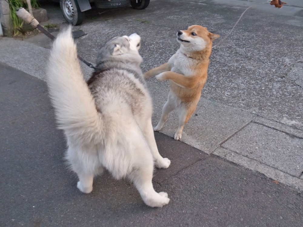 ちなちゃんと遊ぼう! (^o^)_c0049299_22312993.jpg