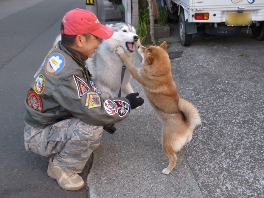 ちなちゃんと遊ぼう! (^o^)_c0049299_22345540.jpg