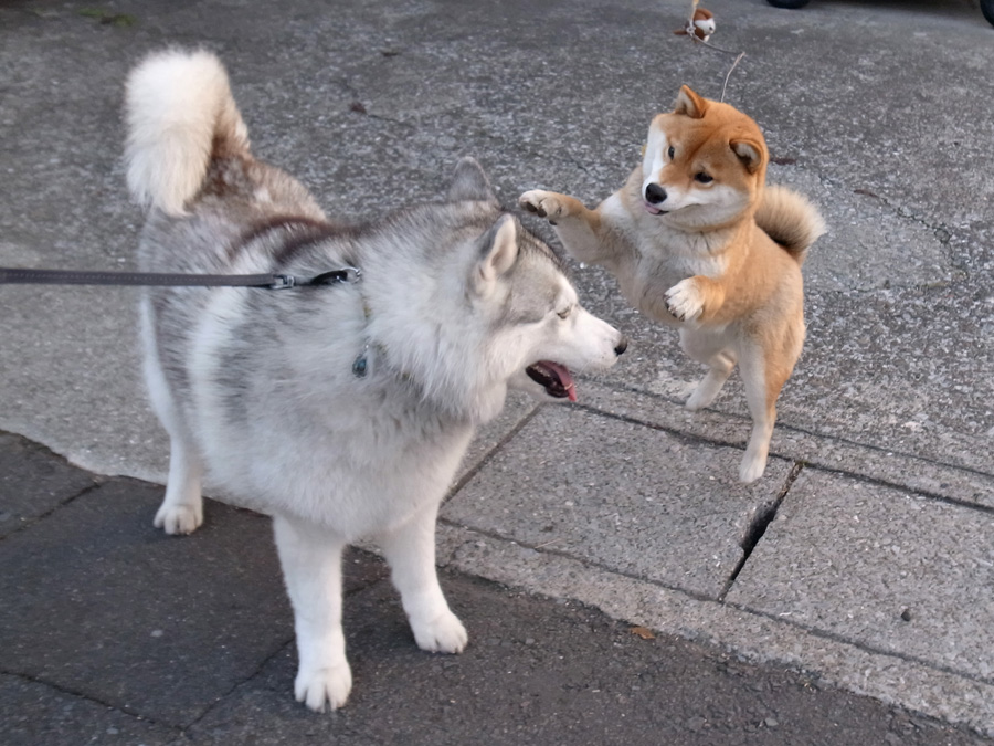 ちなちゃんと遊ぼう! (^o^)_c0049299_2235314.jpg