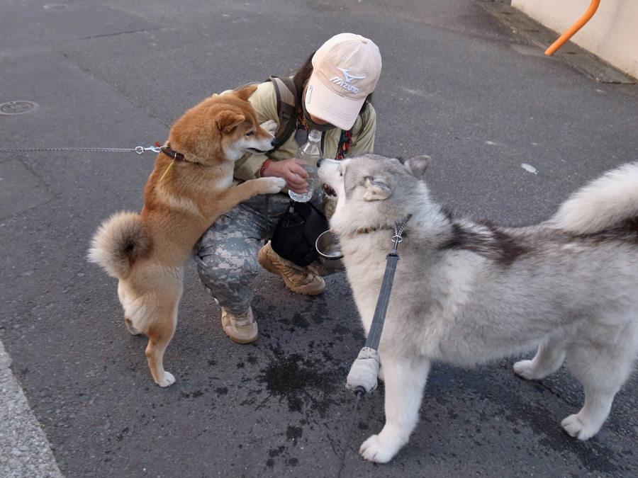 ちなちゃんと遊ぼう! (^o^)_c0049299_22373116.jpg