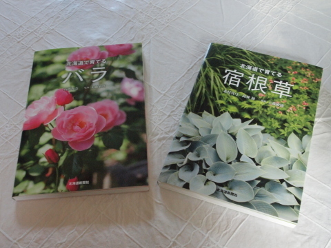 これからの北海道の庭が楽しみ あけの秘密の花園