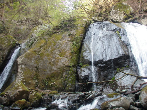 d0342206_19214141.jpg