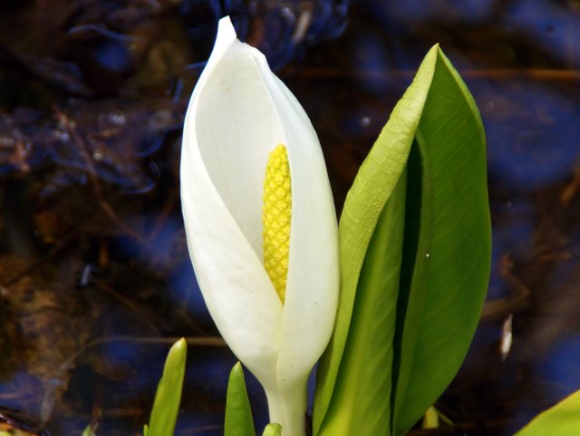 a0345007_1884319.jpg