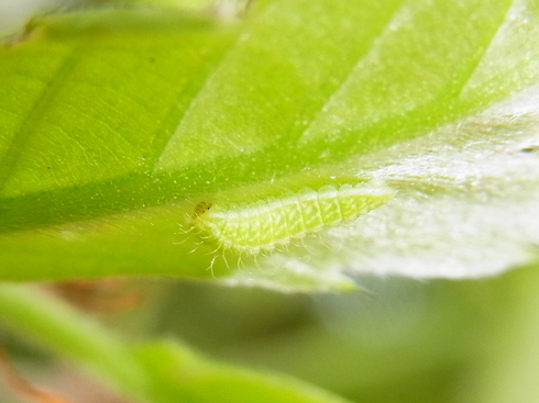 d0251807_1642983.jpg